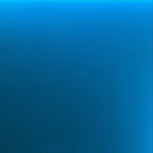 Meet your Posher, Carmaine